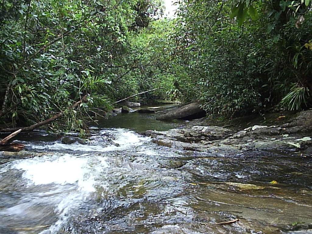 Hotel Canto Do Rio Maresias Buitenkant foto